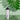 DR-EE-234-B-LIFESTYLE-01