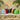 IDEA-0052_LIFESTYLE_AI-NO-LOGO