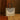 BAG-4690_STYLED-NO-LOGO